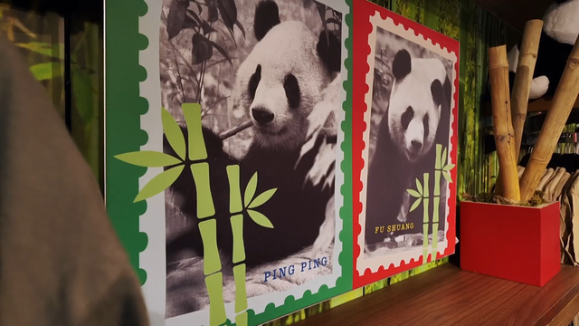 pandas-1.png 