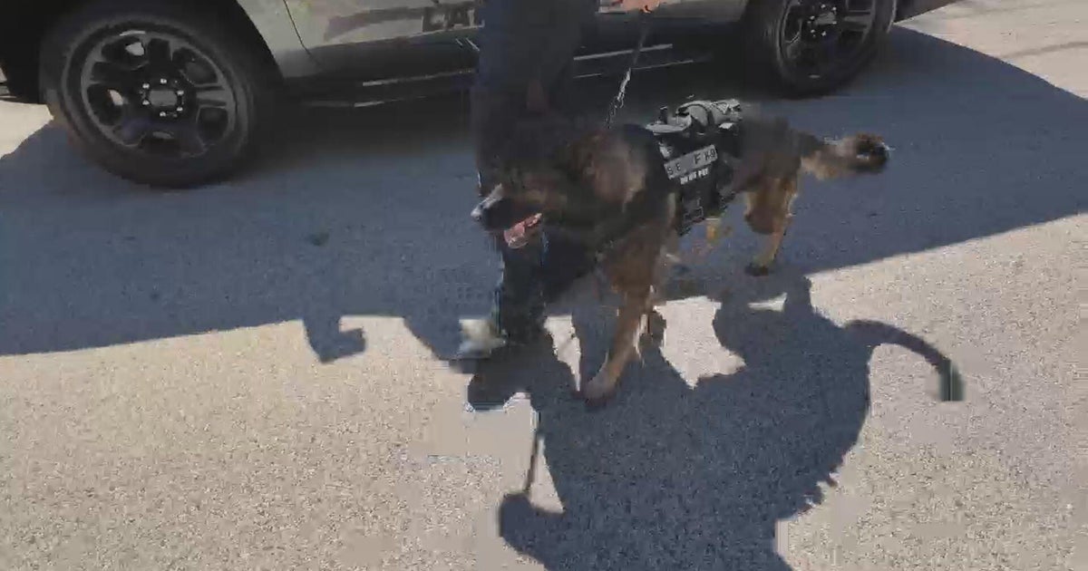 Lake County sheriff's K9 Loki helps find missing boy in unincorporated Zion
