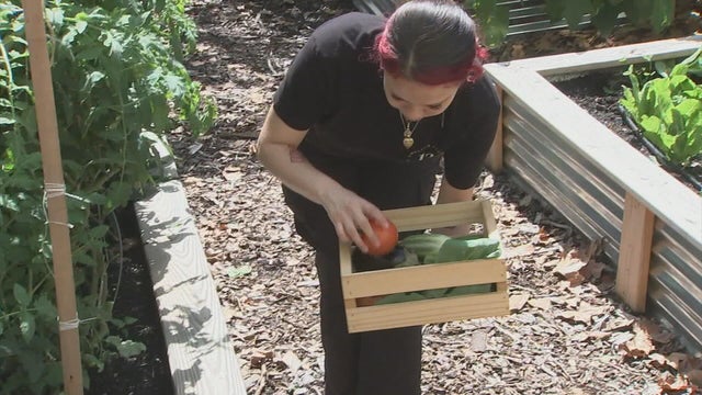mantua-west-philadelphia-community-garden.jpg 