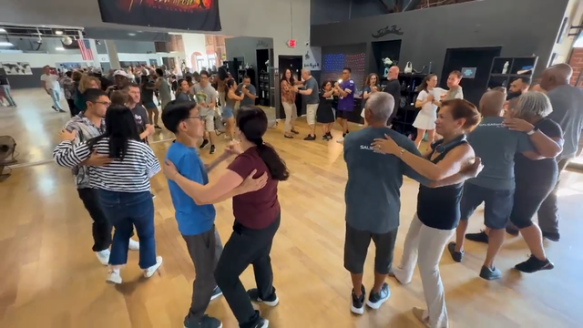 salsa-1.png 