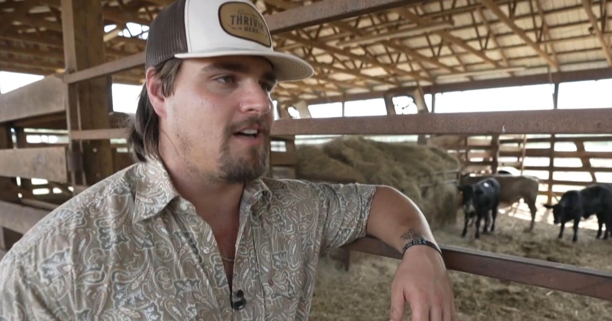 Country stars band together against AI data centers