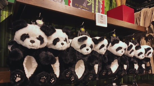 Zoo Atlanta welcomes 2 new giant pandas from China