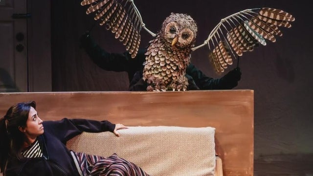 Destinos International Film Festival 