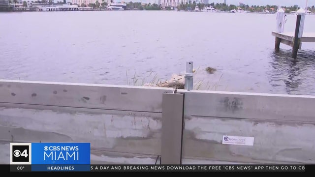 Hollywood working on a flooding fix for king tide season: a new seawall