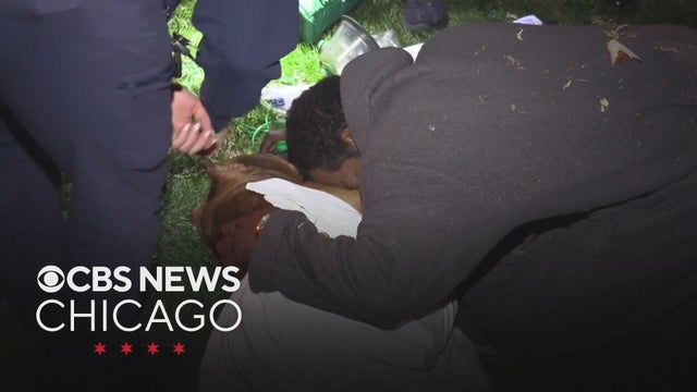Dog resuscitated after West Englewood house fire