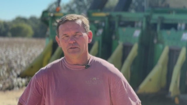 Georgia farmer says diesel prices could add $100K to harvest costs