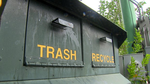 garbage.jpg