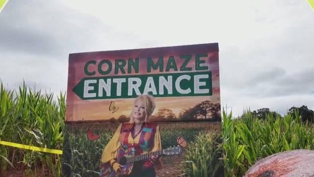 Walk the Line I North Georgia farm celebrates Dolly Parton with fall corn maze