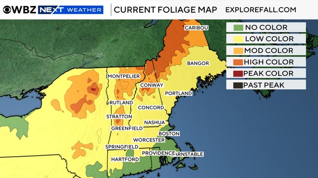foliage-map-oct.jpg 