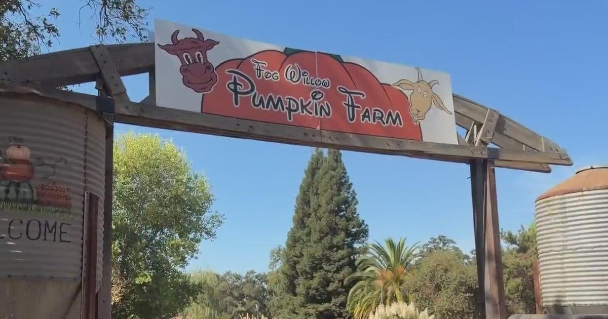 Many California farmers turn to agritourism as costs rise: Everything just keeps going up.