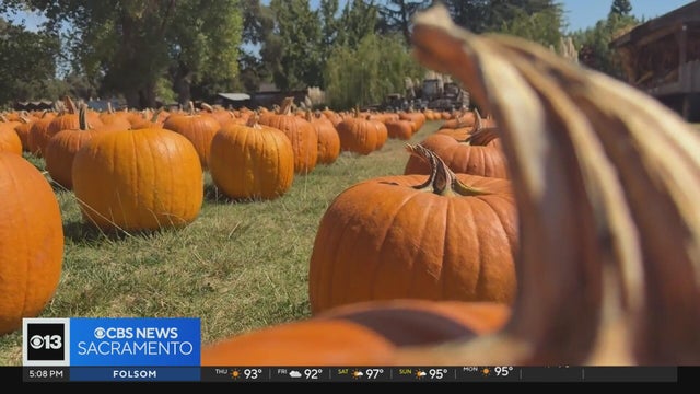A look at the issues impacting California's agriculture industry