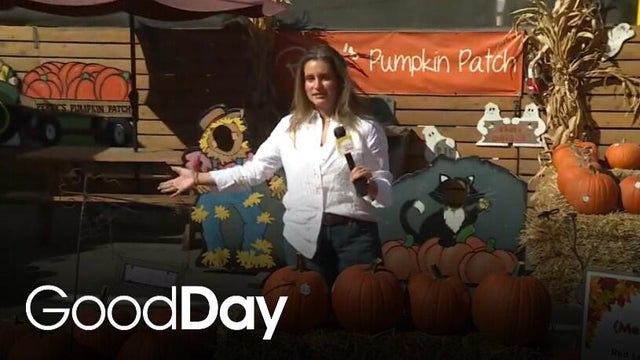 41st Annual Manteca Pumpkin Fair