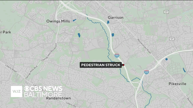 Woman and dog killed in I-795 crash in Baltimore County