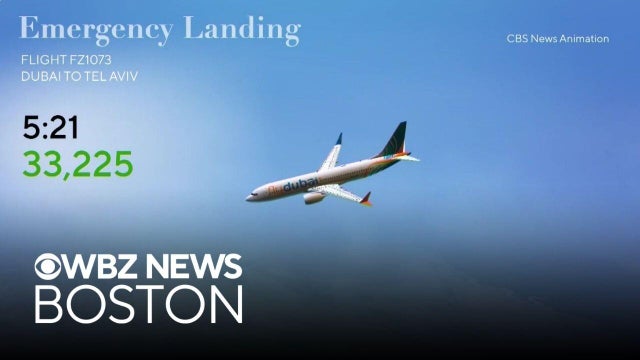 Motive under investigation after pilot stabbed on flight from Dubai to Tel Aviv