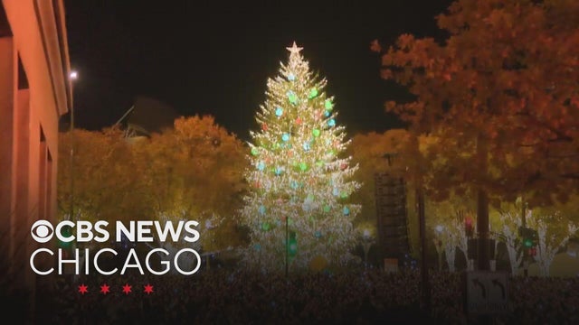 Search begins for Chicago's official 2026 Christmas tree