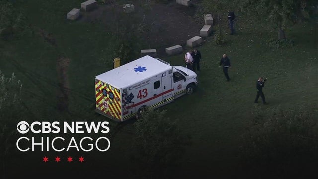 Woman dies after being pulled from Lake Michigan at Hollywood Beach