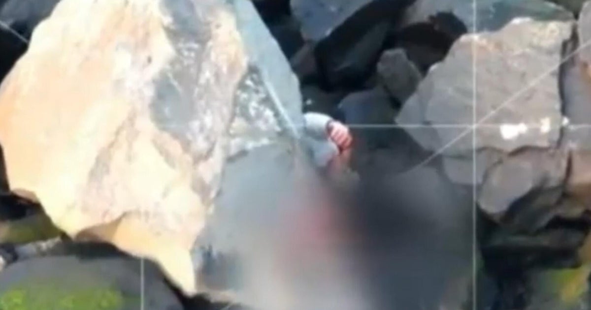 Man trapped under boulder survives after Siri calls for help