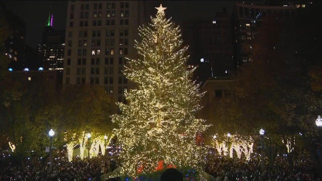 christmas-tree.jpg 