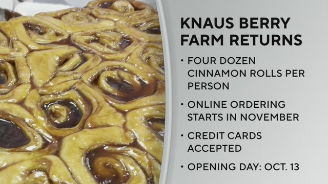 Knaus Berry Farm&rsquo;s cinnamon rolls return this month with new rules
