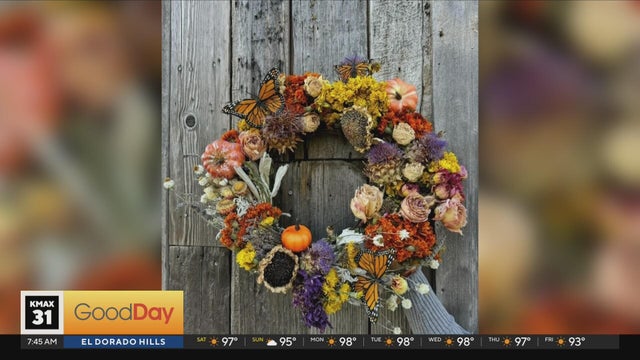 Bella is Making a Fall Wreath