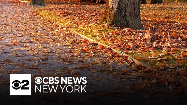 Are New Yorkers ready for autumn?