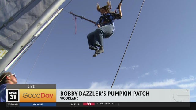 Fall fun at Bobby Dazzler's Pumpkin Patch, 10am
