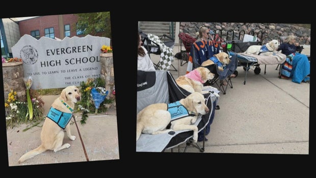 evergreen-hs-homecoming-10pkg-frame-1567.jpg 