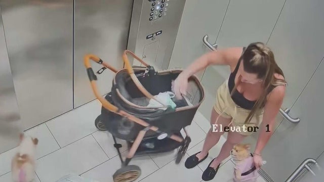 Hialeah woman faces charges after video shows her abusing her dog