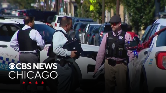 7-year-old girl stabbed to death by woman on South Side