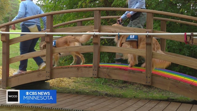 Community honors Gilbert, the Hortman family's golden retriever, with a Wayzata pathway