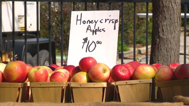 apple-fest-still.jpg 