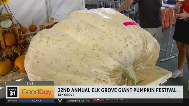 The 32nd Annual Elk Grove Giant Pumpkin Festival. 9am