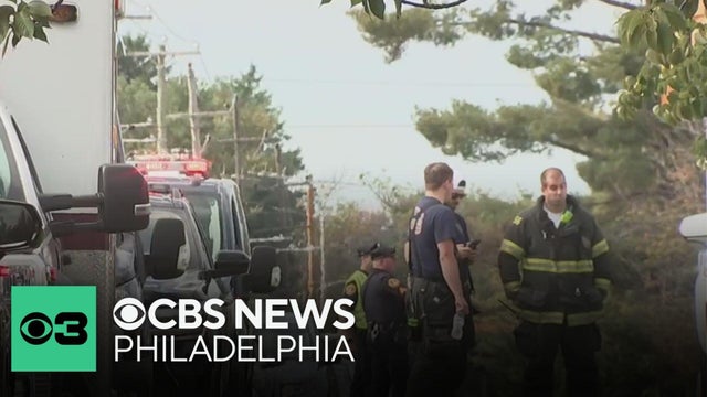 Driver in Havertown crash was operating vehicle with revoked license, police say