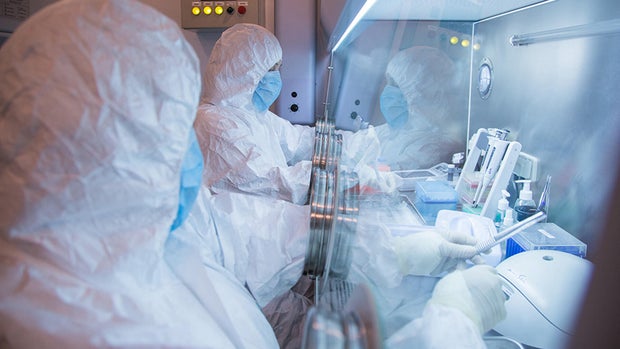 Lab workers 