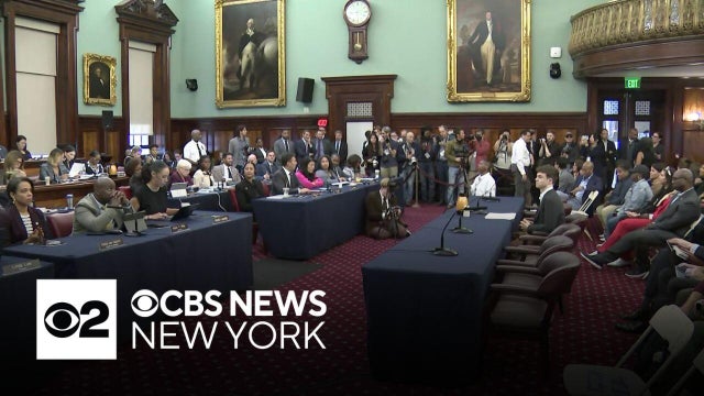 City Council holds first-in-the-nation AI oversight hearing
