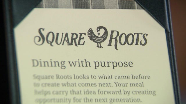 4p-pkg-square-roots-wccobepr.jpg 