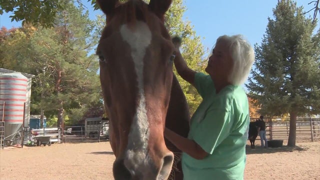 Colorado nonprofit that helps people and animals alike is looking for a new home
