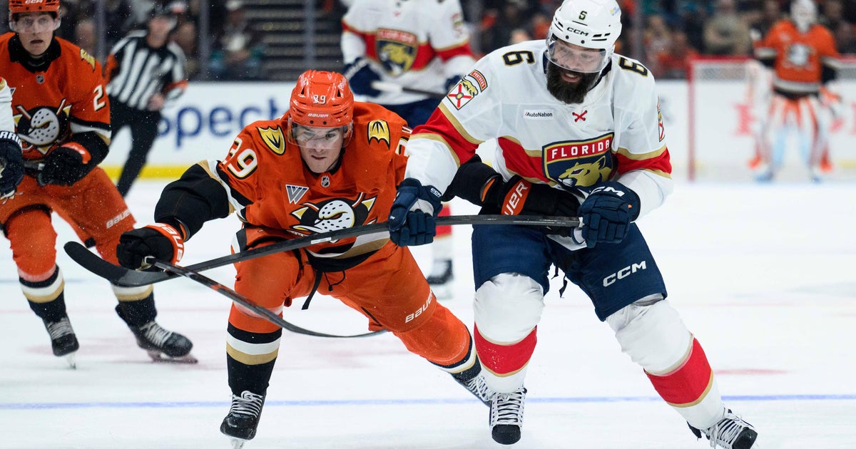 Florida Panthers fall to Anaheim Ducks 3-2 in overtime - CBS Miami