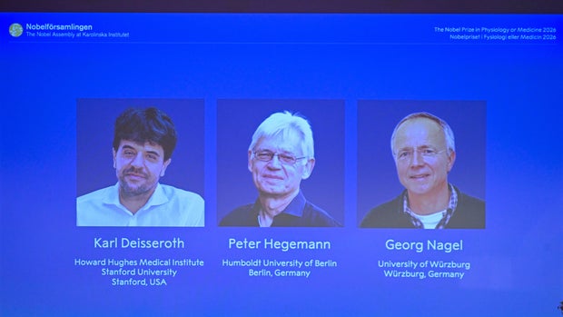 SWEDEN-NOBEL-AWARD-MEDICINE-PHYSIOLOGY
