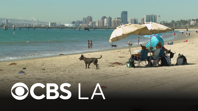 Southern Californians bear through sweltering October heat wave, even at the beaches