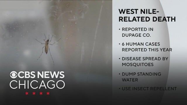 First West Nile Virus death of 2026 reported in DuPage County