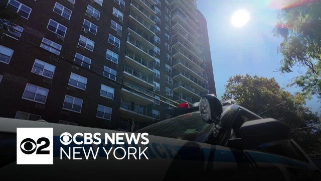 Mother, 8-month-old daughter pushed from 15th-floor balcony of Bronx building, police say