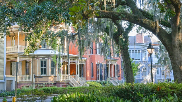 Charming Savannah 