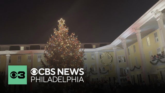 Cape May's Congress Hall begins search for 2026 Christmas tree