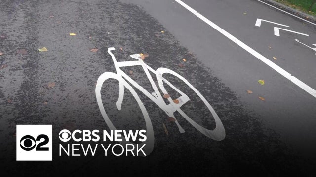 Cyclist killed in Central Park crash slammed brakes to avoid hitting dog, police say