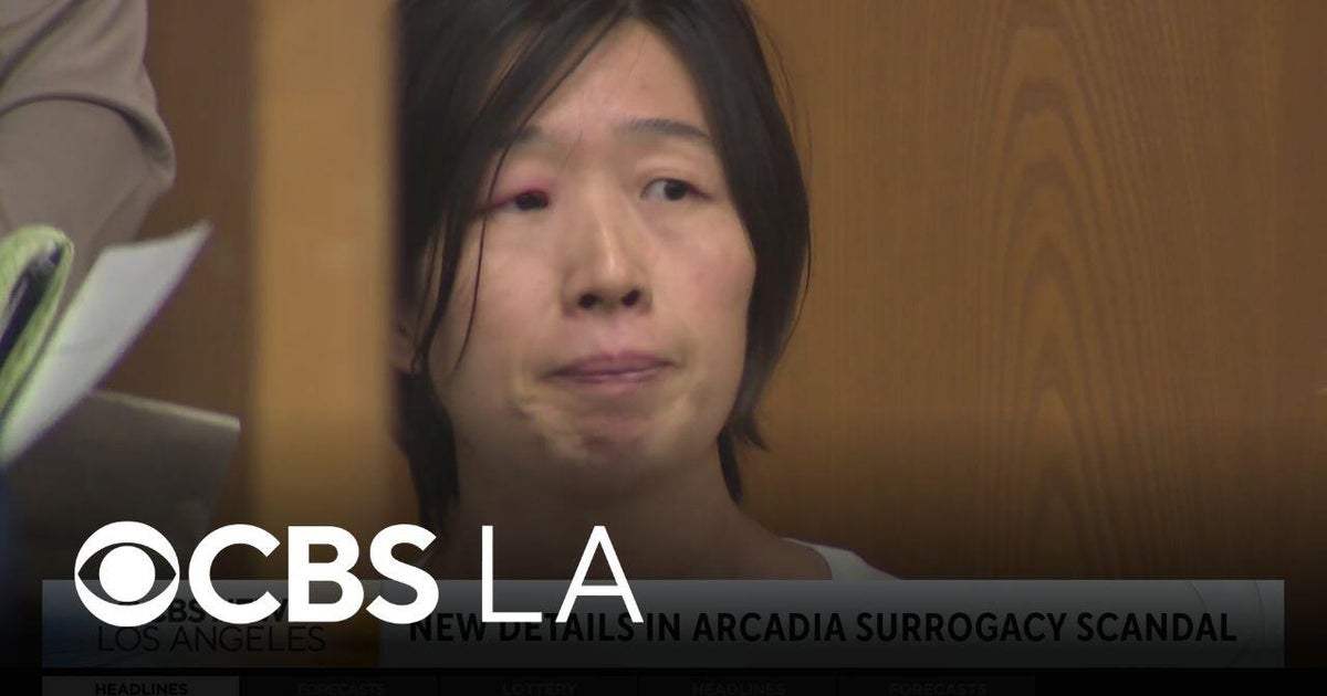 The New Yorker journalist discusses the Arcadia surrogacy scandal