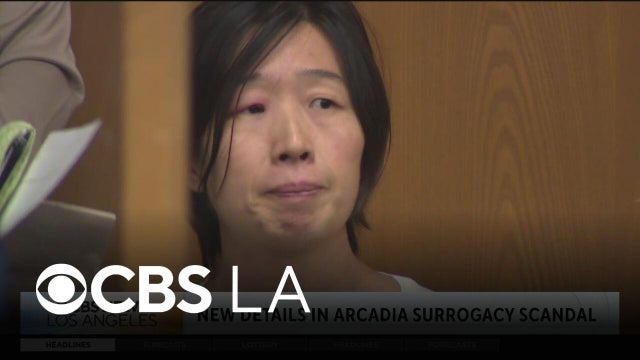 The New Yorker journalist discusses the Arcadia surrogacy scandal