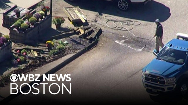 2 people hit by car at Massachusetts apple orchard