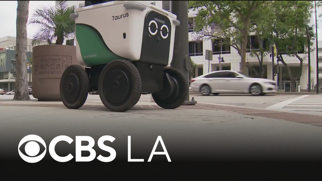 Angelenos seeking regulation after variety of delivery robot issues