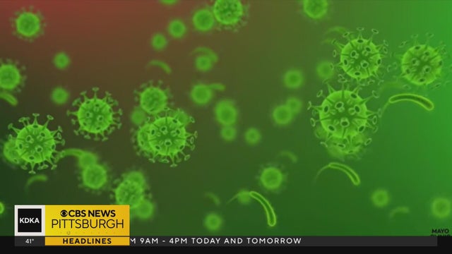 Pittsburgh-area health experts sound the alarm on measles outbreak